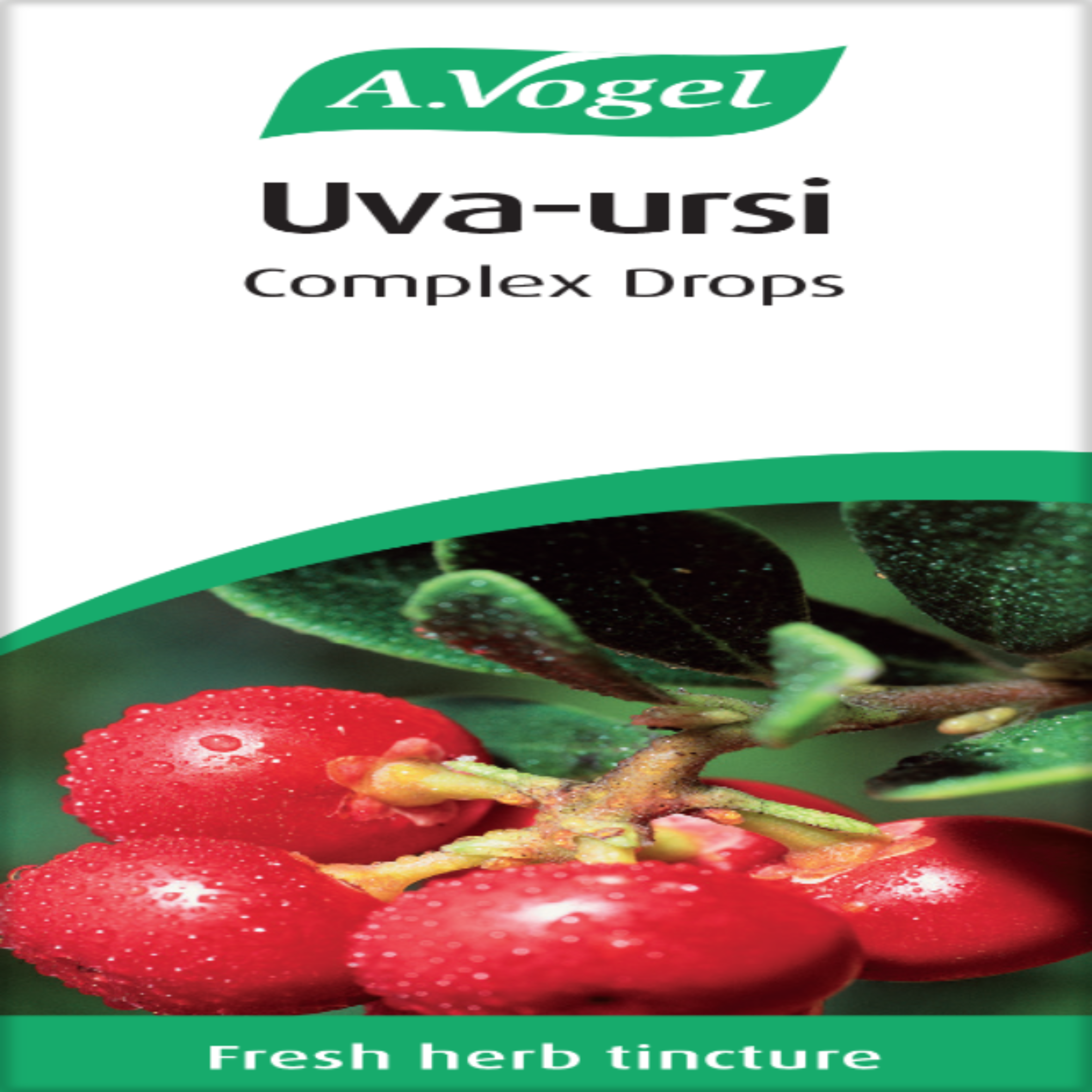 Uva-ursi and Echinacea image 1