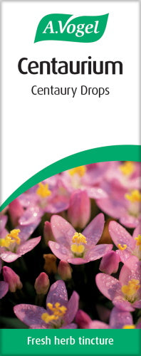 Centaurium (Centaury) image 3