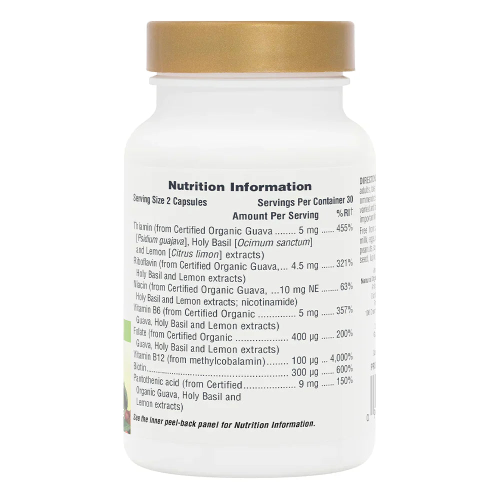 NaturesPlus Source of Life® Garden B Complex 60 Capsules image 1