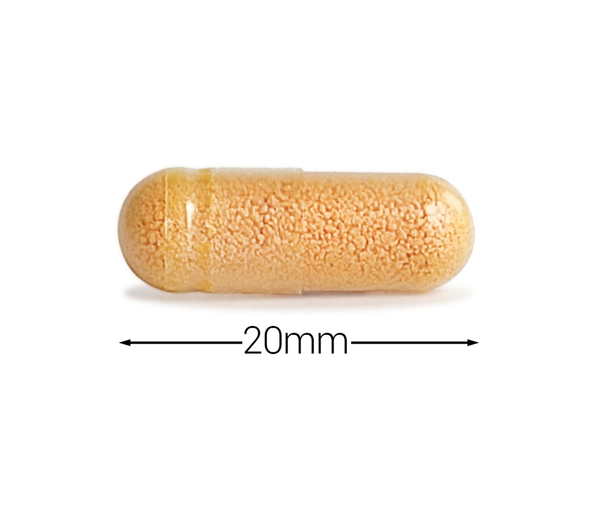 Cytoplan Cell-Active Curcumin Plus