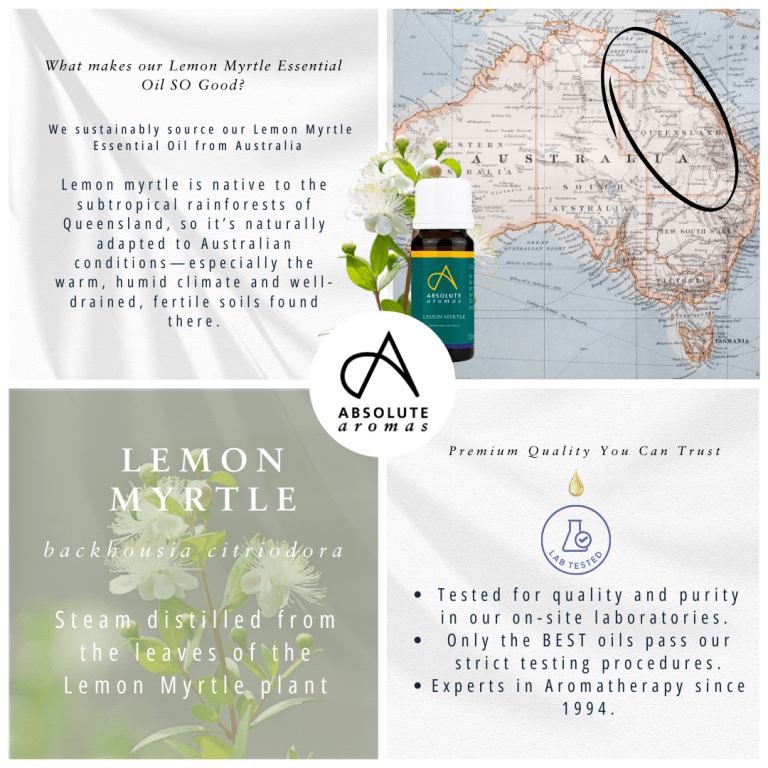 Absolute Aromas Lemon Myrtle Essential Oil