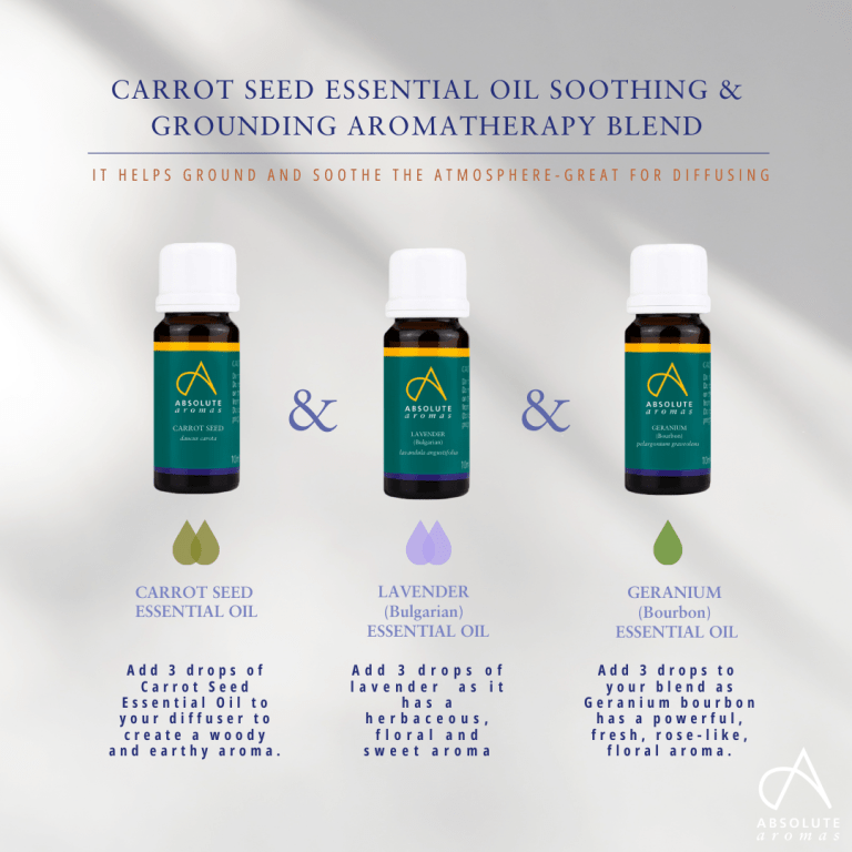 Absolute Aromas Carrot Seed Essential Oil