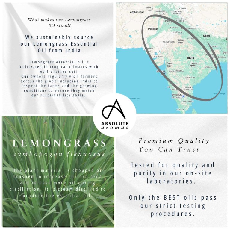 Absolute Aromas Lemongrass Essential Oil
