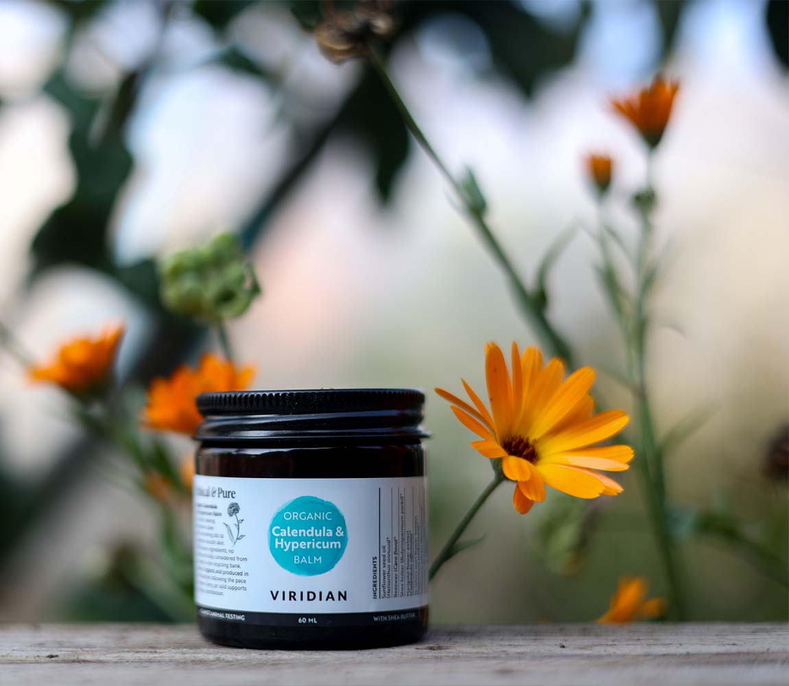 Viridian Calendula & Hypericum Organic Balm 60gm