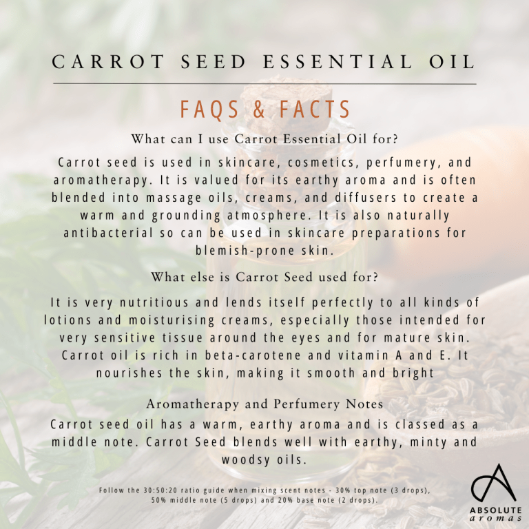Absolute Aromas Carrot Seed Essential Oil