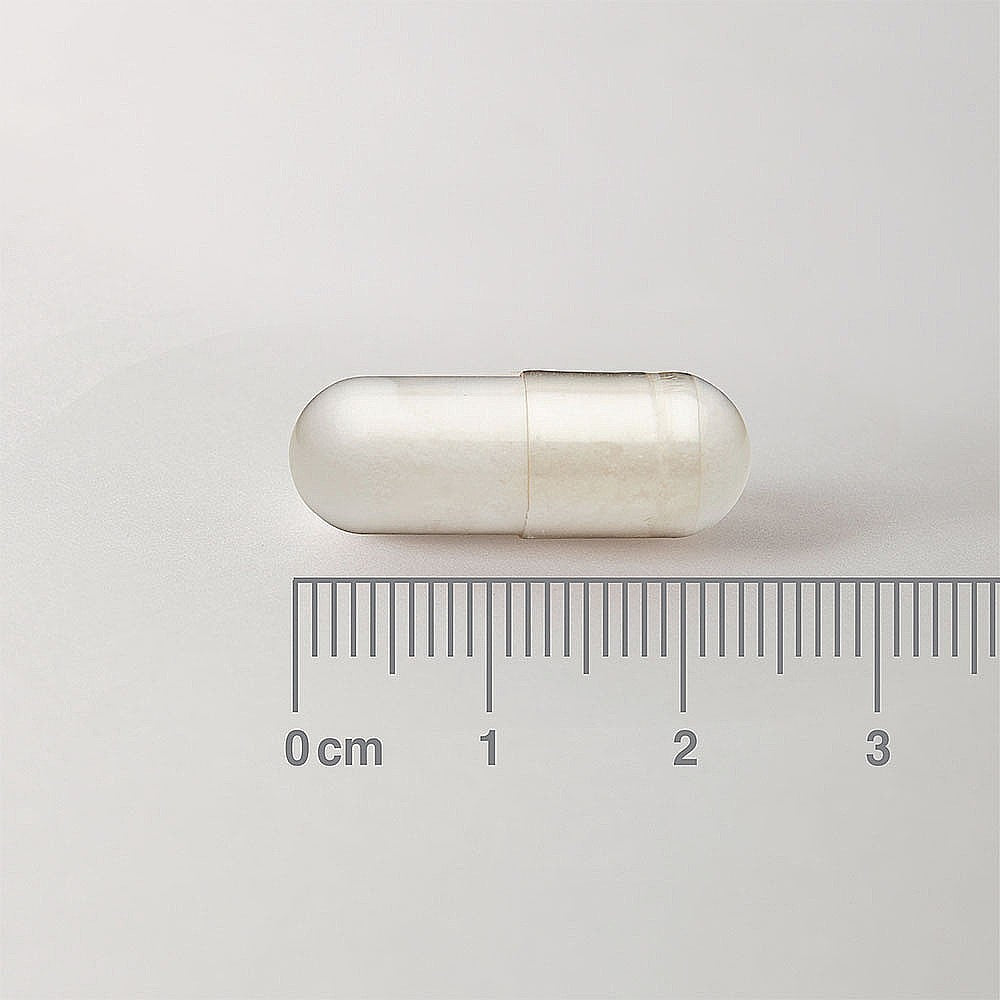 Lamberts Acetyl L-Carnitine 500mg 60 Capsules image 1