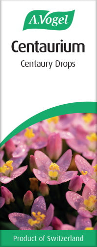 Centaurium (Centaury) image 4