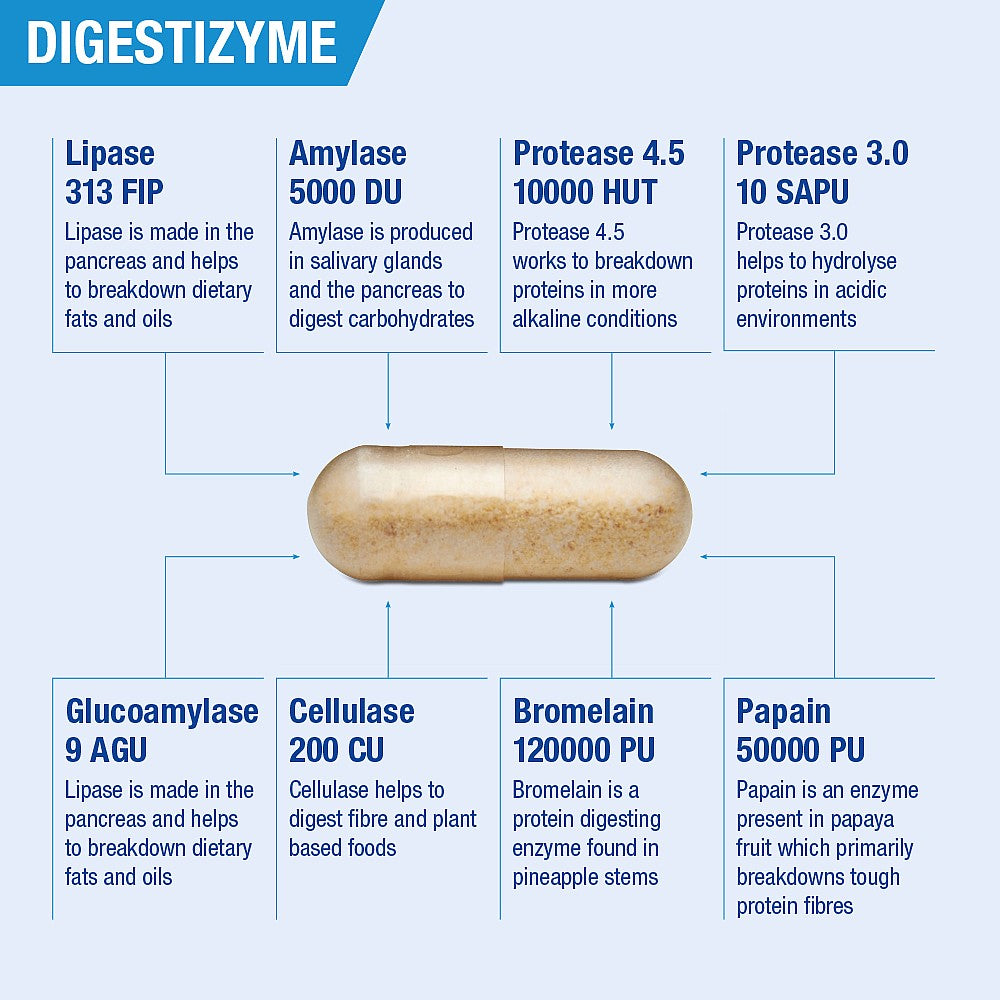 Lamberts Digestizyme® 100 Capsules