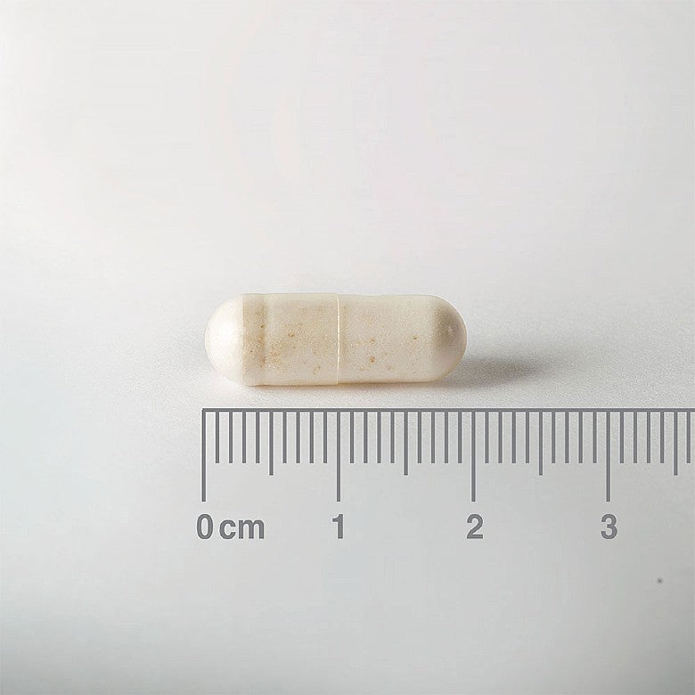 Lamberts Biome Balance 25 60 Capsules