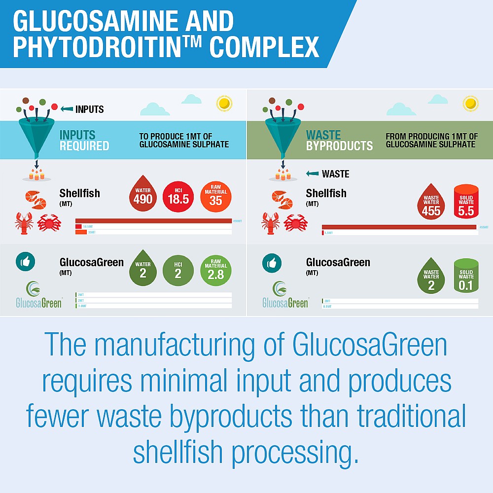 Lamberts Glucosamine & Phytodroitin™ Complex