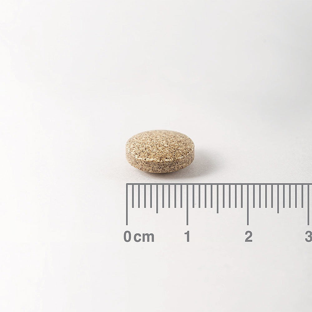 Lamberts Ginkgo 6000mg