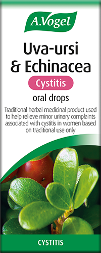 Uva-ursi & Echinacea Cystitis Oral Drops. Cystitis Treatment for Women image 2