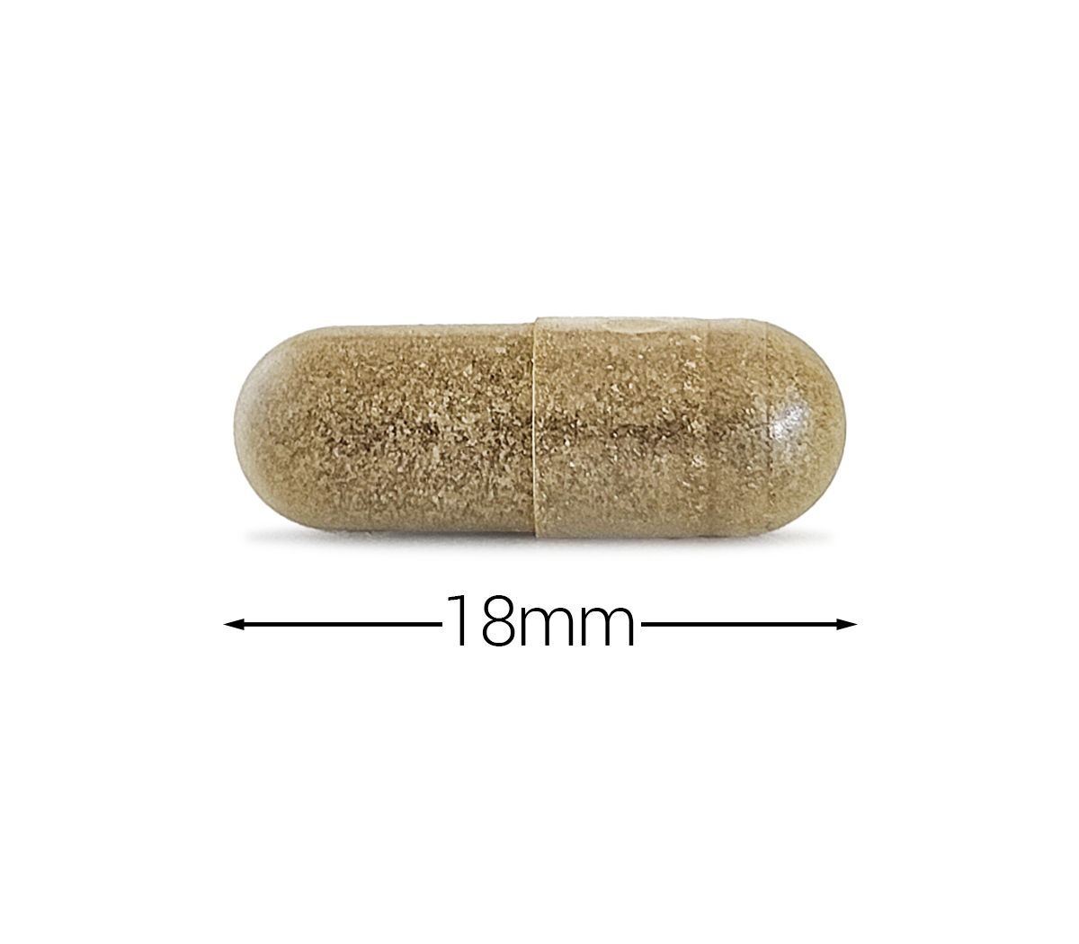 Cytoplan Gymnema Sylvestre