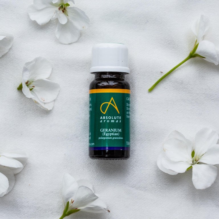 Absolute Aromas Geranium Essential Oil(Egyptian)