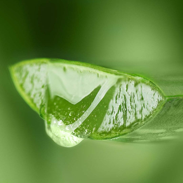 Absolute Aromas Lavender Aloe Gel