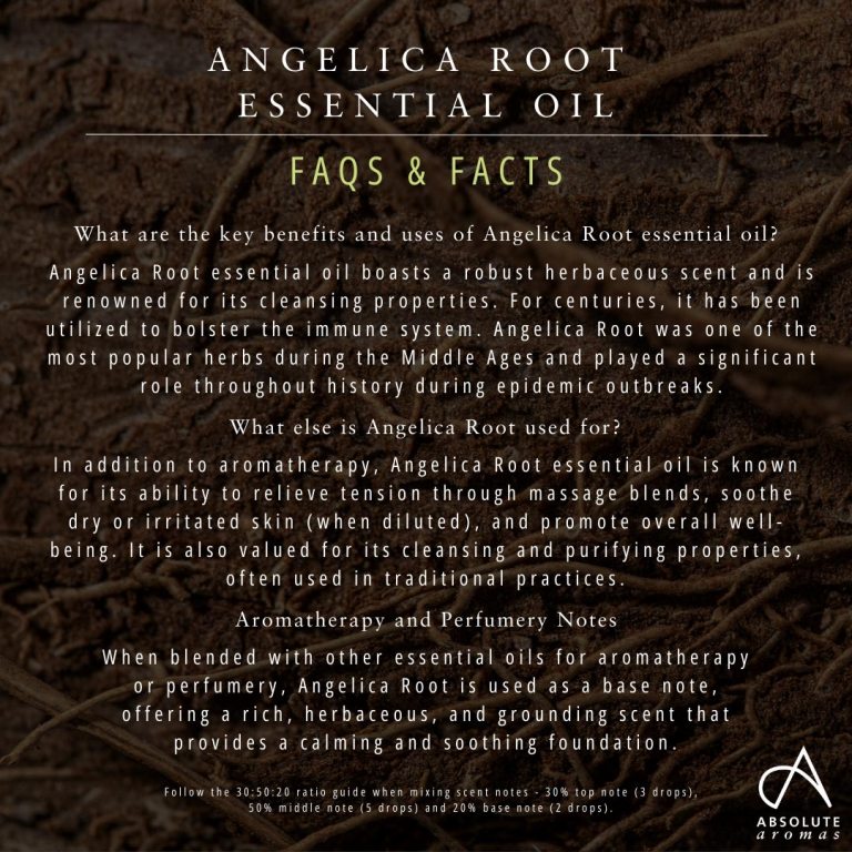 Absolute Aromas Angelica Root Essential Oil