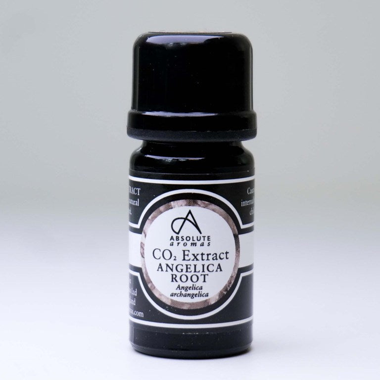 Absolute Aromas Angelica Root CO2 Extract – Health & More Ltd