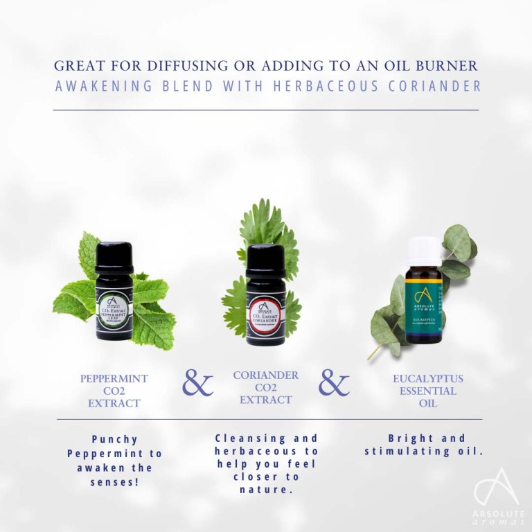 Absolute Aromas Coriander CO2 Extract