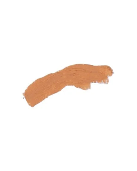 Benecos Natural Cover Stick