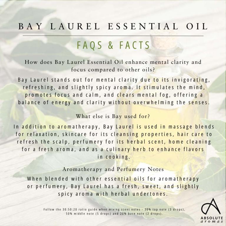 Absolute Aromas Bay Laurel Essential Oil