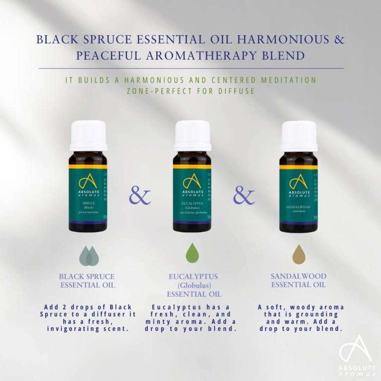 Absolute Aromas Black Spruce Essential Oil