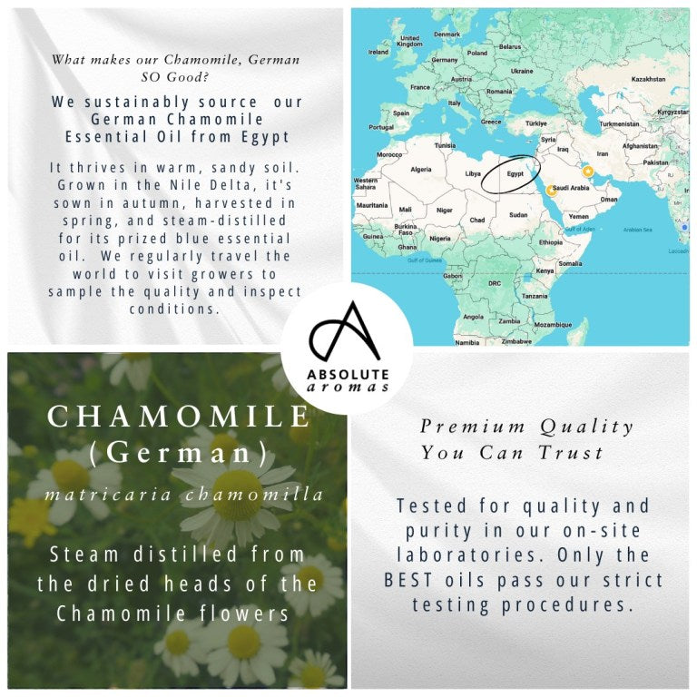 Absolute Aromas Chamomile, German Essential Oil