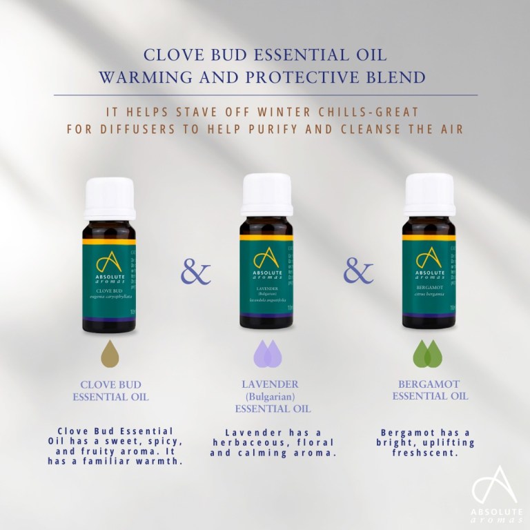 Absolute Aromas Clove Bud Essential Oil