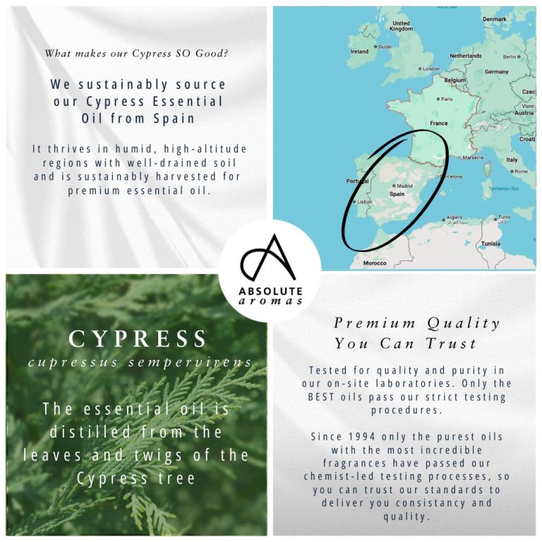 Absolute Aromas Cypress Essential Oil