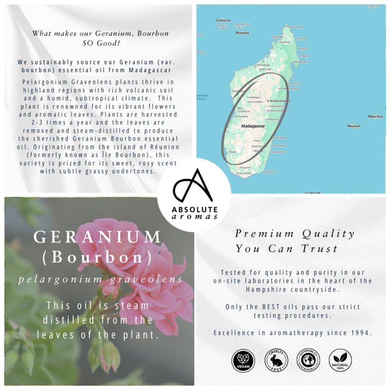 Absolute Aromas Geranium, Bourbon