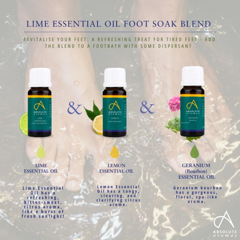 Absolute Aromas Lime Essential Oil(Distilled)