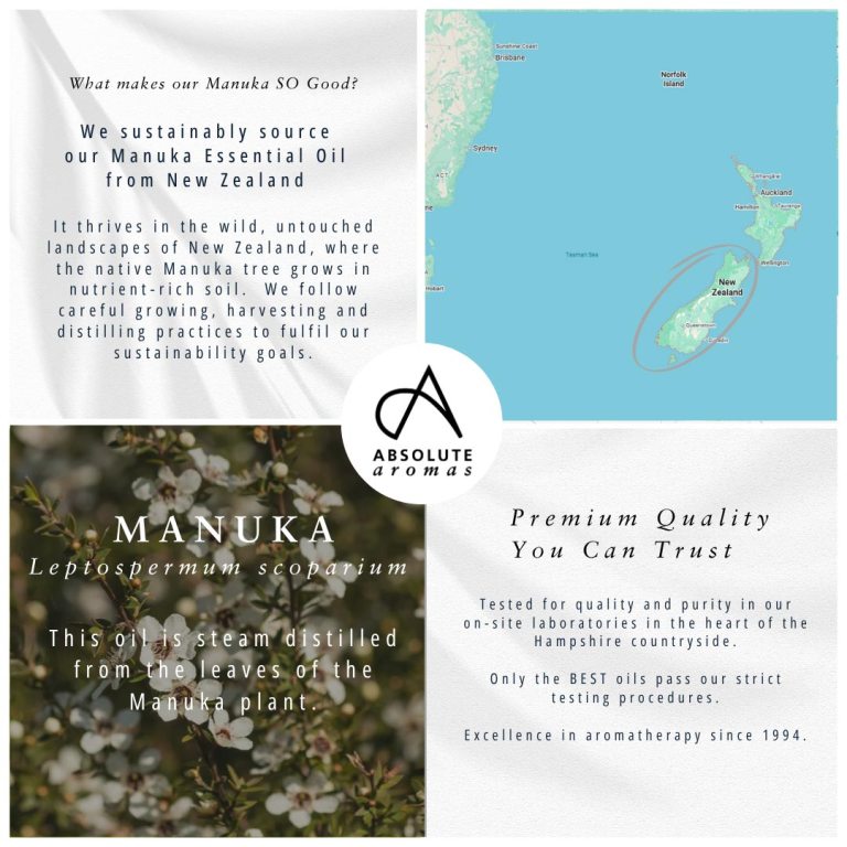 Absolute Aromas Manuka Essential Oil