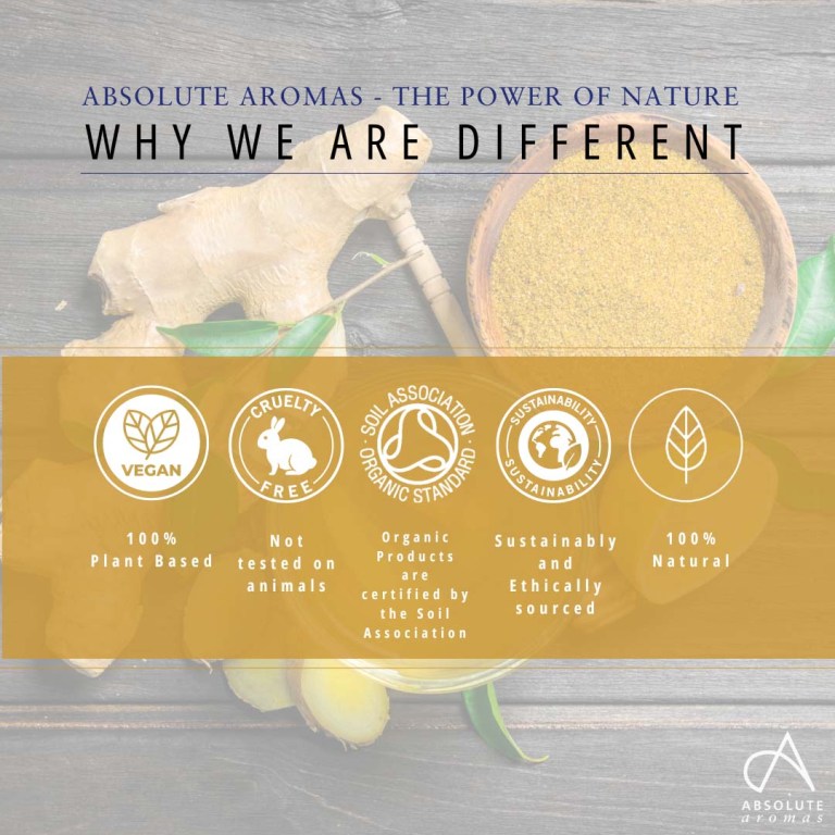 Absolute Aromas Ginger Treatment Oil
