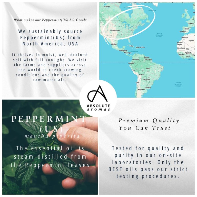 Absolute Aromas Peppermint (US) Essential Oil