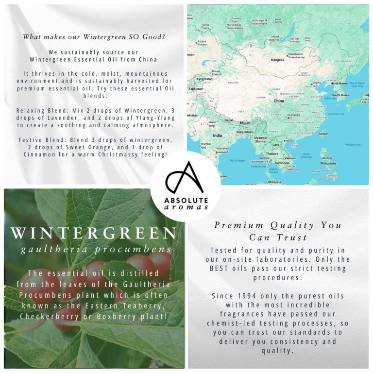 Absolute Aromas Wintergreen Essential Oil