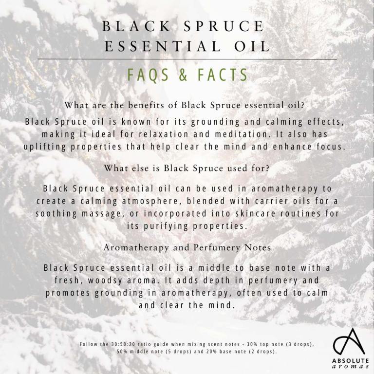 Absolute Aromas Black Spruce Essential Oil