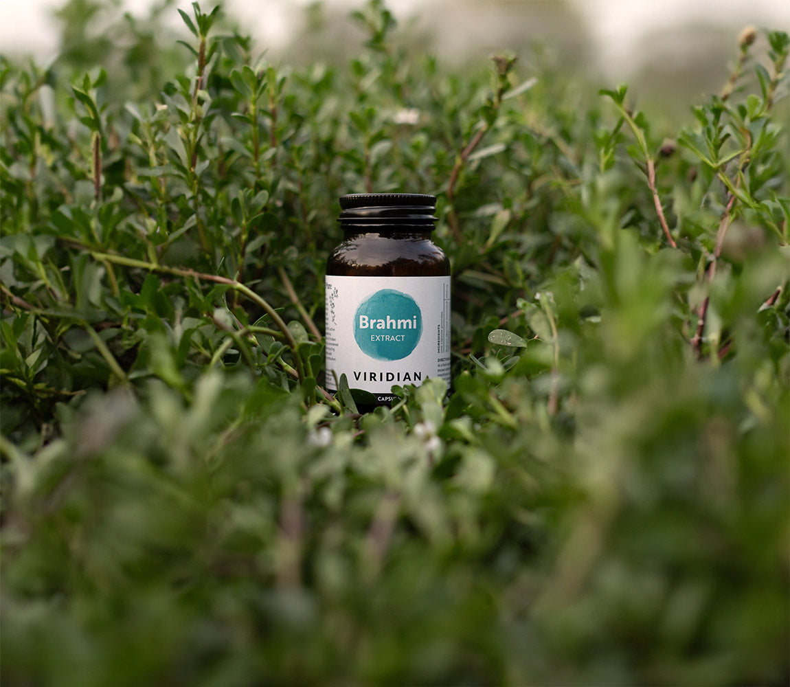 Viridian Brahmi Extract 60 Capsules