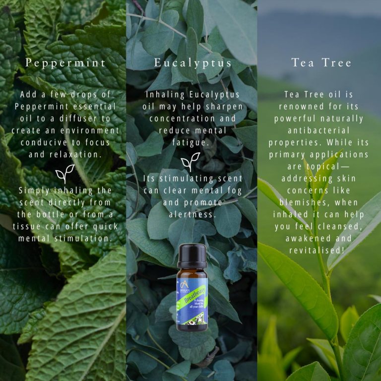 Absolute Aromas Breatheasy Essential Blend