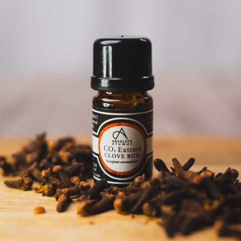 Absolute Aromas Clove Bud CO2 Extract