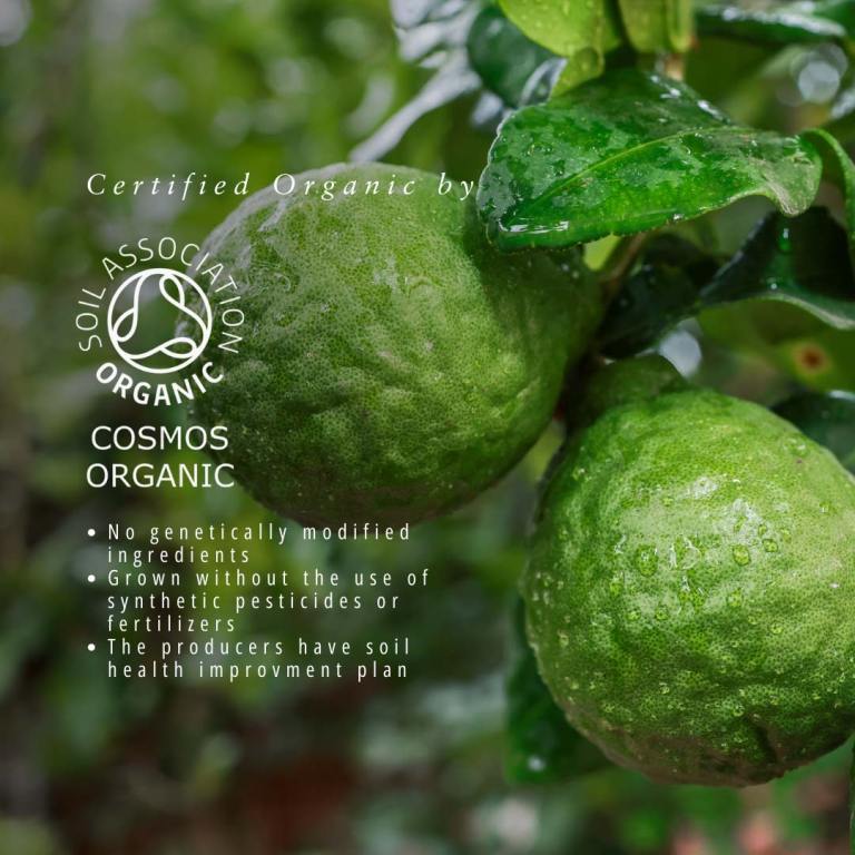 Absolute Aromas Organic Bergamot FCF