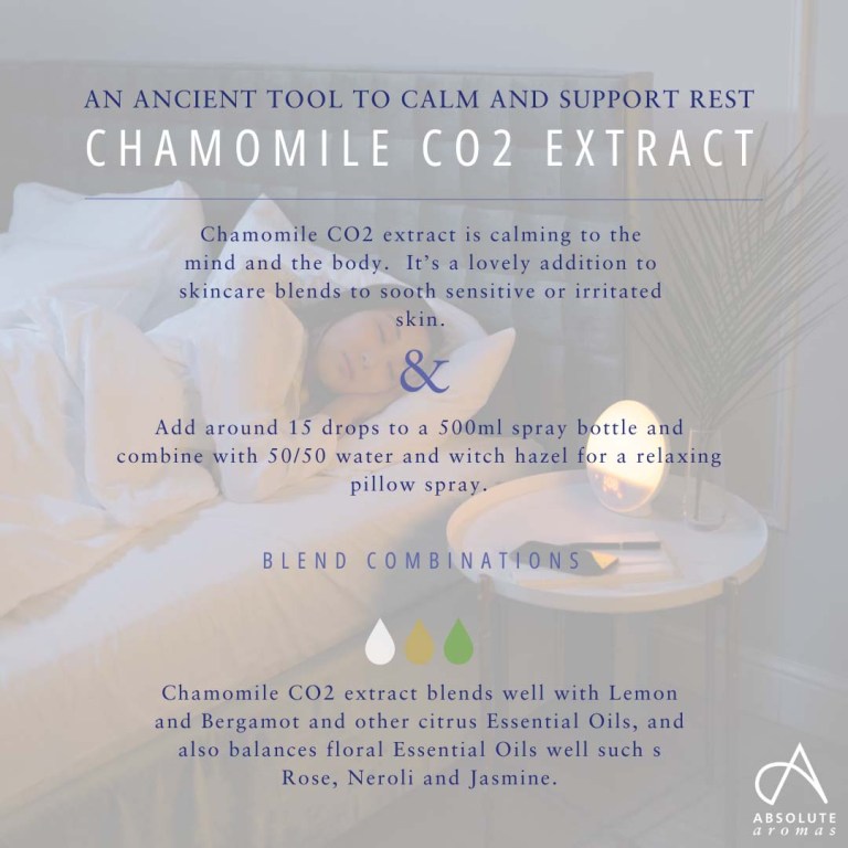 Absolute Aromas Chamomile Flower CO2 Extract