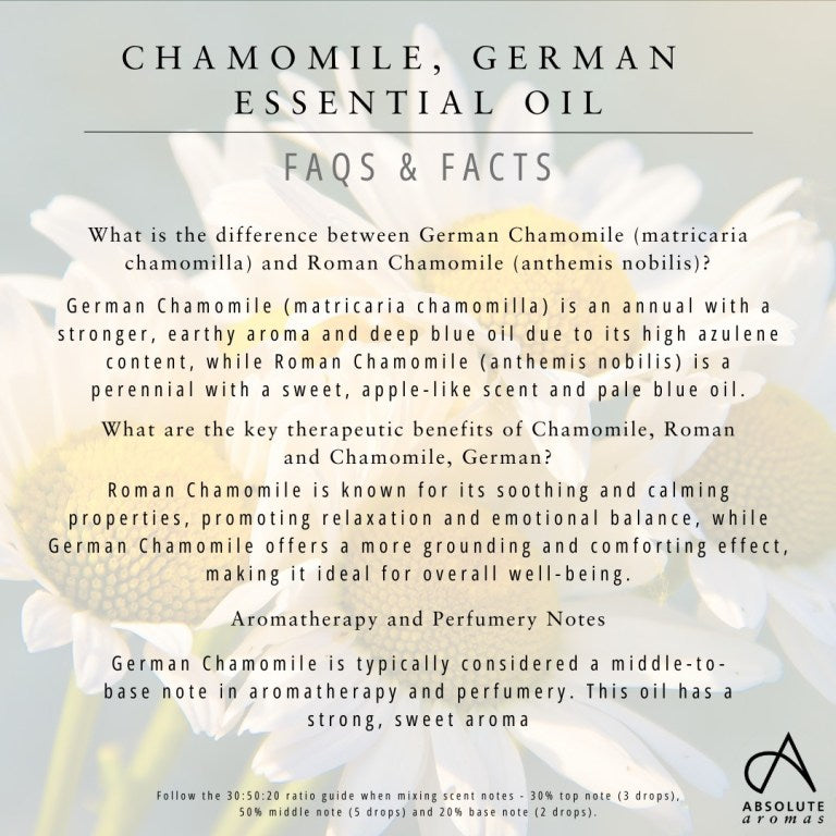 Absolute Aromas Chamomile, German Essential Oil