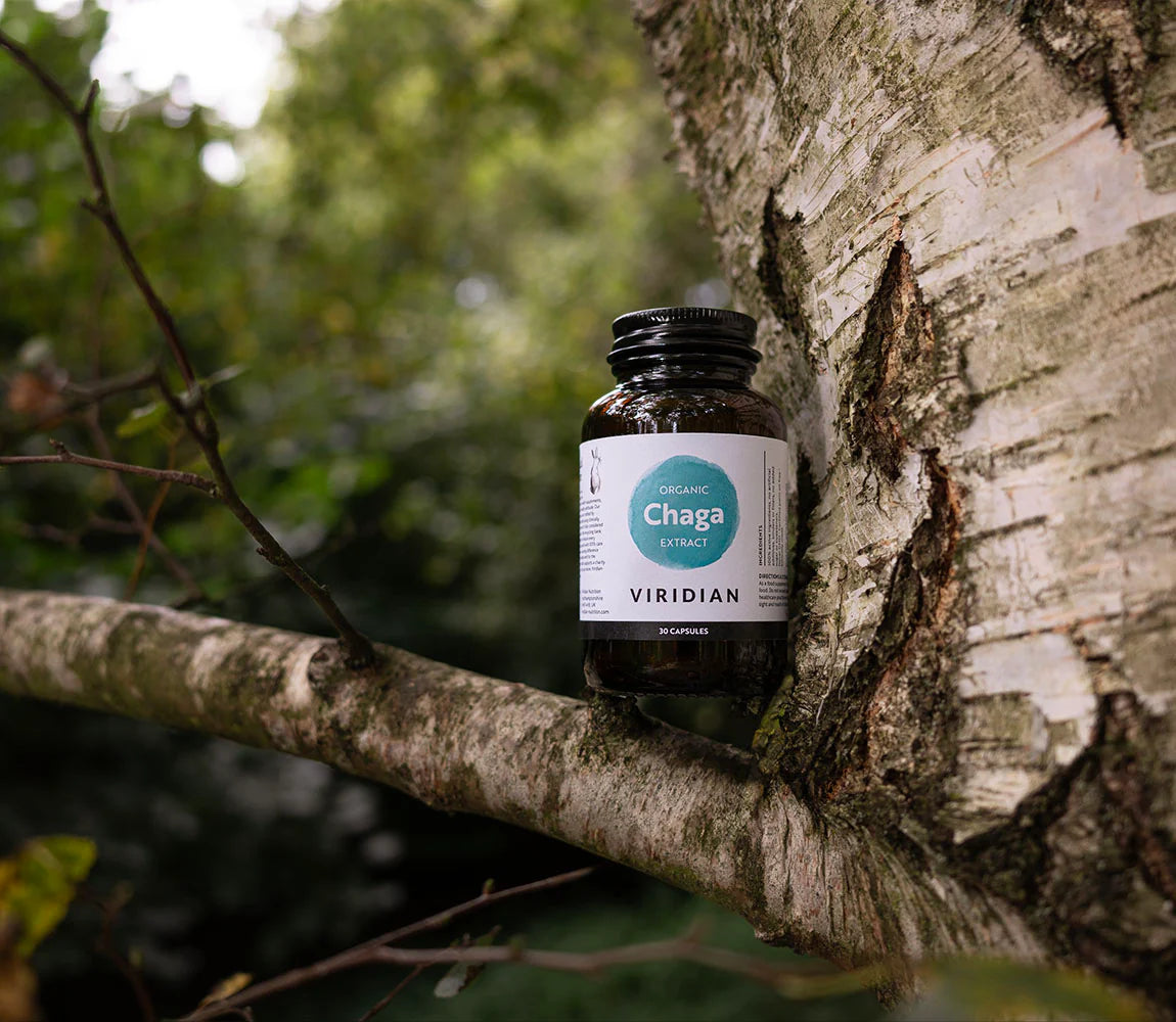 Viridian Organic Chaga Extract