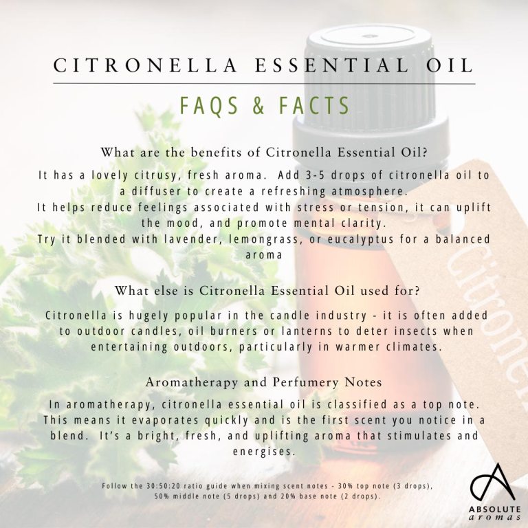 Absolute Aromas Citronella Essential Oil