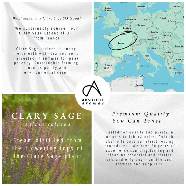 Absolute Aromas Clary Sage Essential Oil