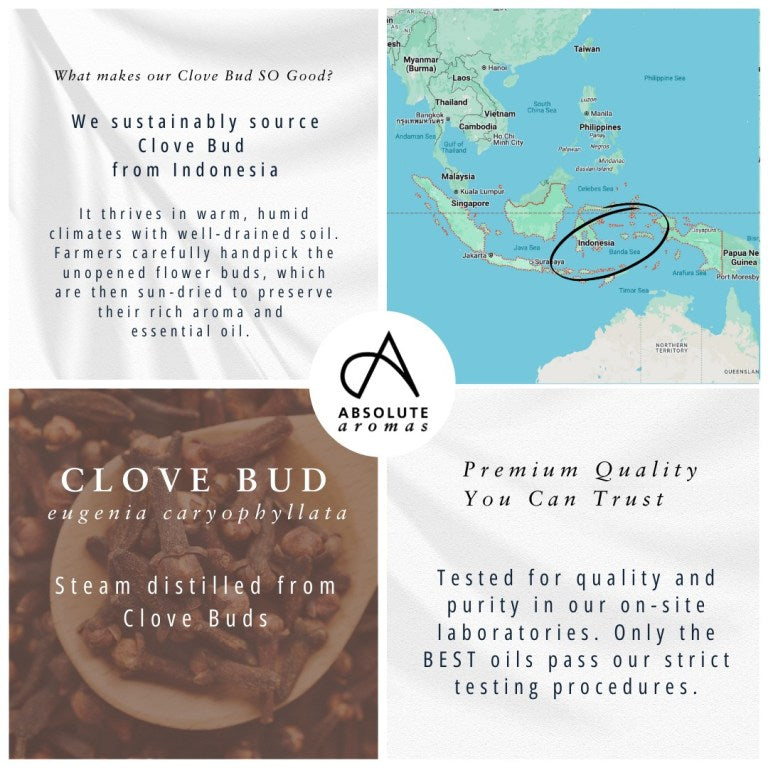 Absolute Aromas Clove Bud Essential Oil