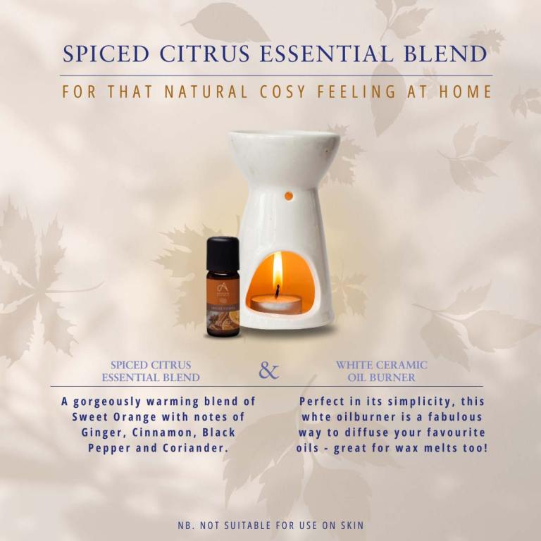 Absolute Aromas Spiced Citrus Aromatherapy Blend