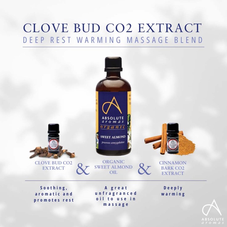 Absolute Aromas Clove Bud CO2 Extract