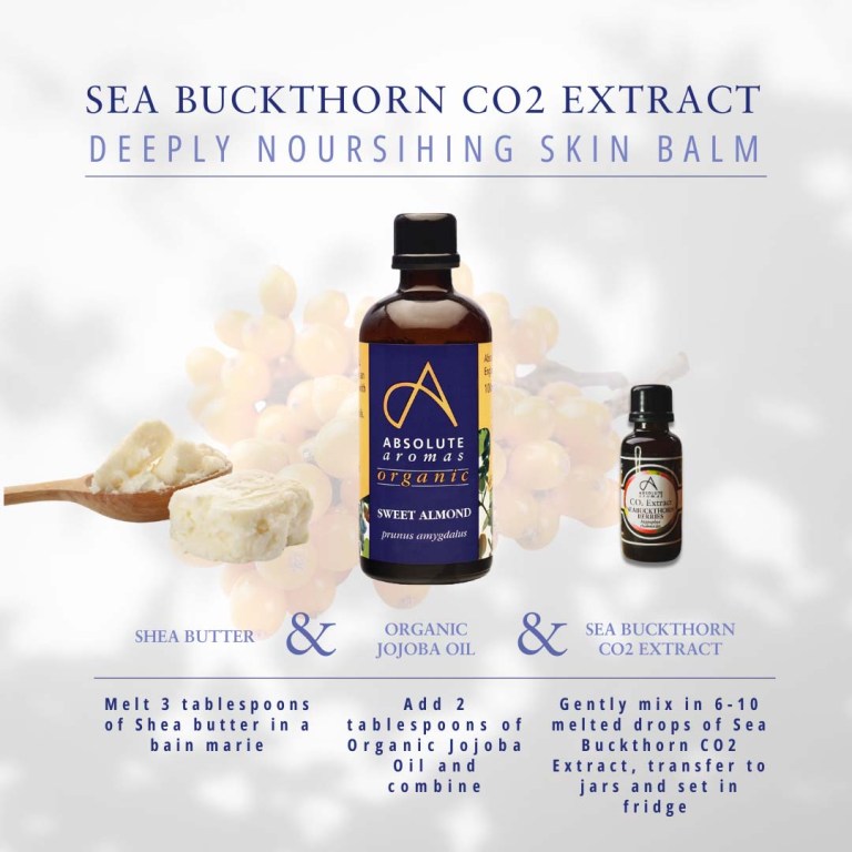 Absolute Aromas Sea Buckthorn CO2 Extract