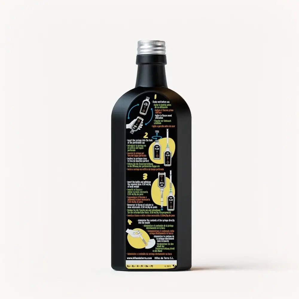 Hifas Da Terra Dr. GB (Gut & Brain) Syrup with Reishi, Lion's Mane, Prebiotics, and Vitamins C and A