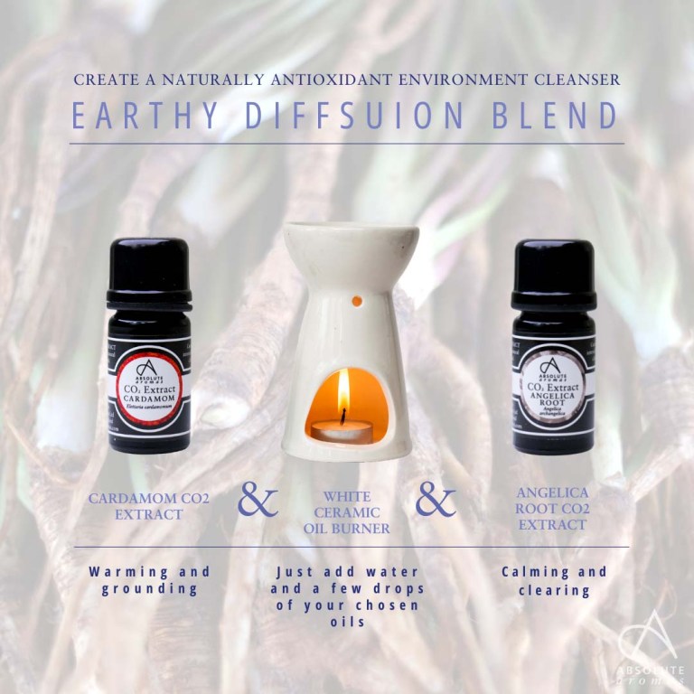 Absolute Aromas Angelica Root CO2 Extract